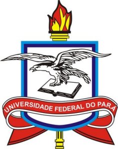 logo_ufpa